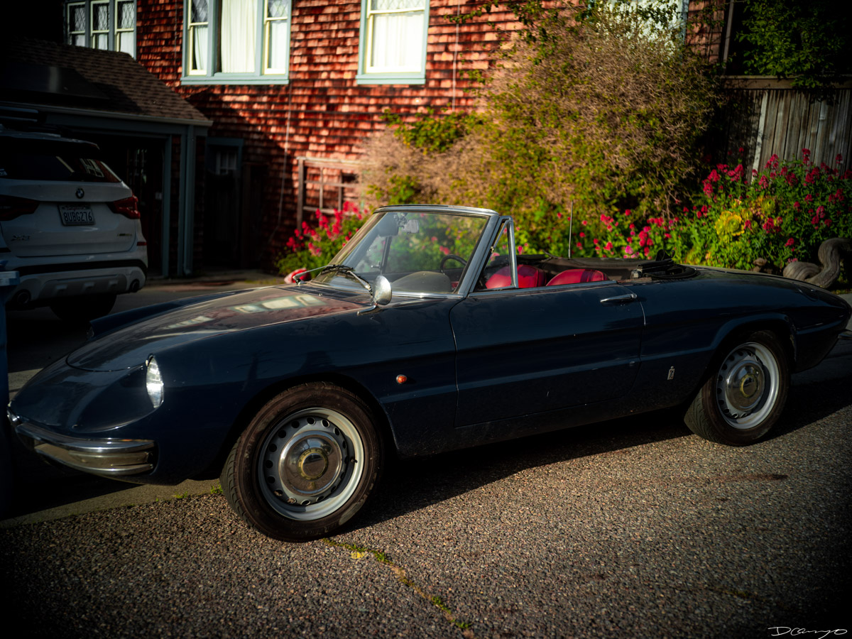 Pretty things that I wanted to take pictures of around Berkeley in 2023.